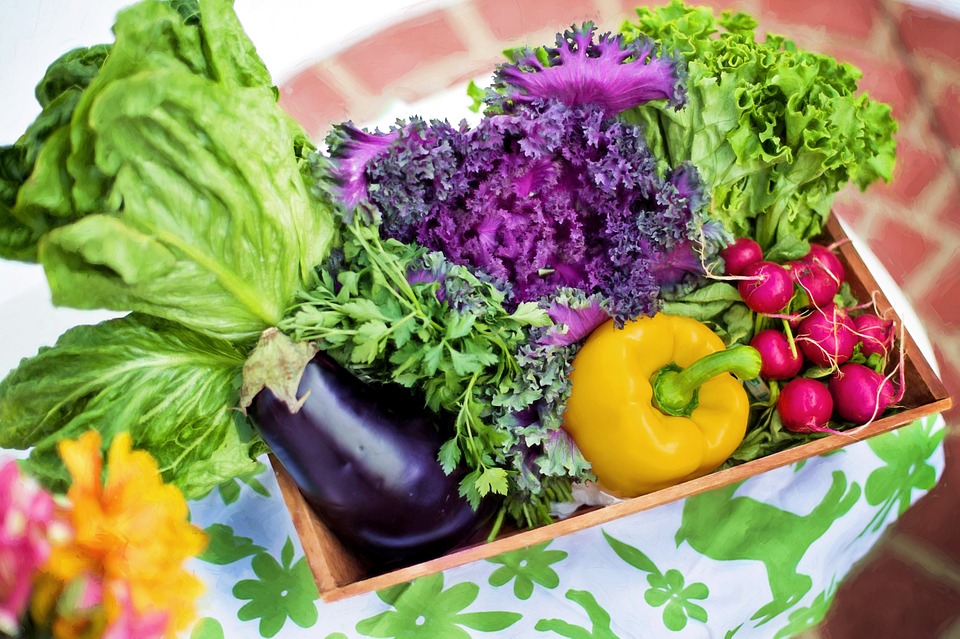 consumir organicos faz bem a saude - Por que consumir orgânicos pode ser uma das melhores decisões da sua vida?